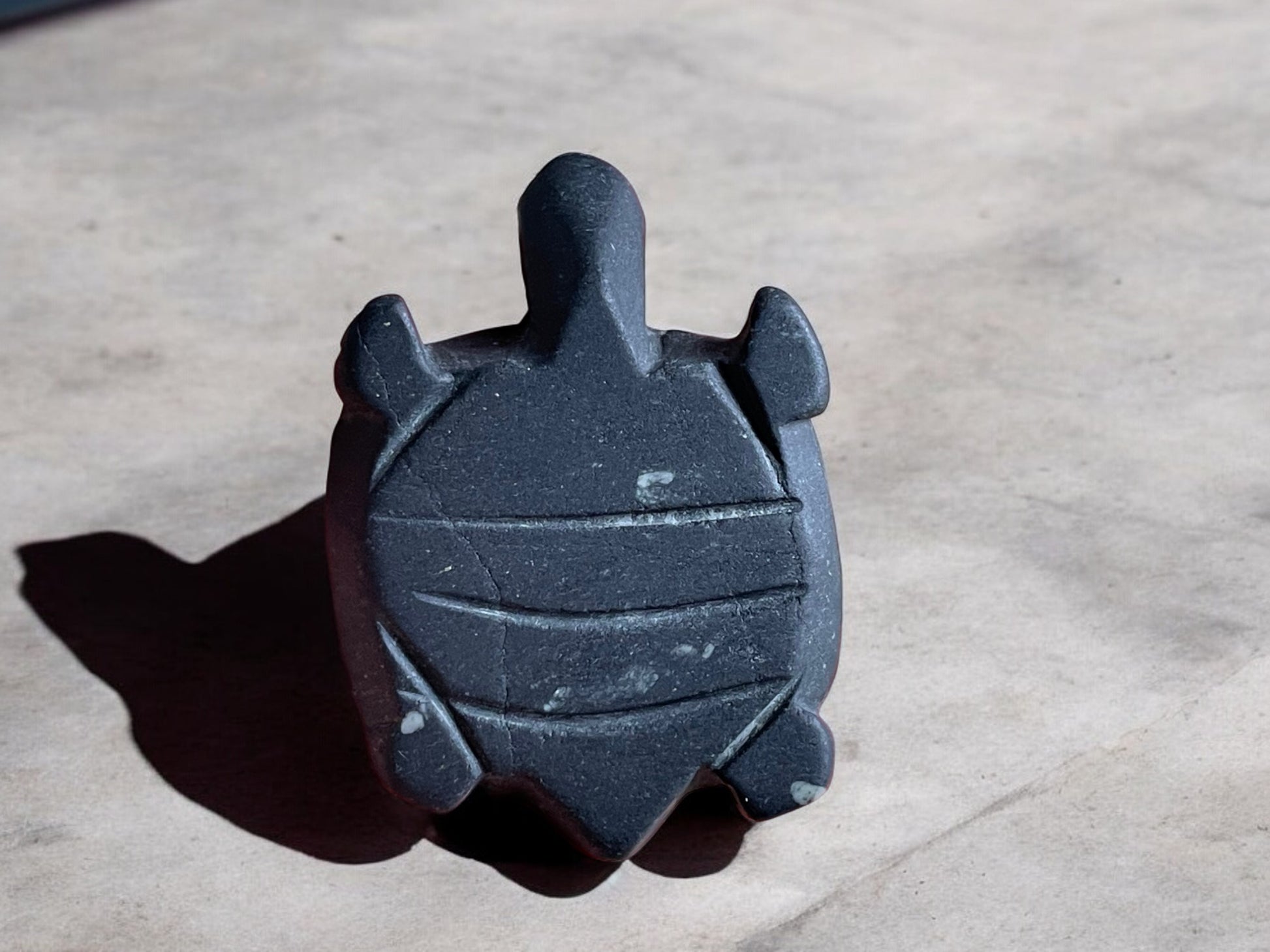 Chrysanthemum stone crystal turtle on concrete