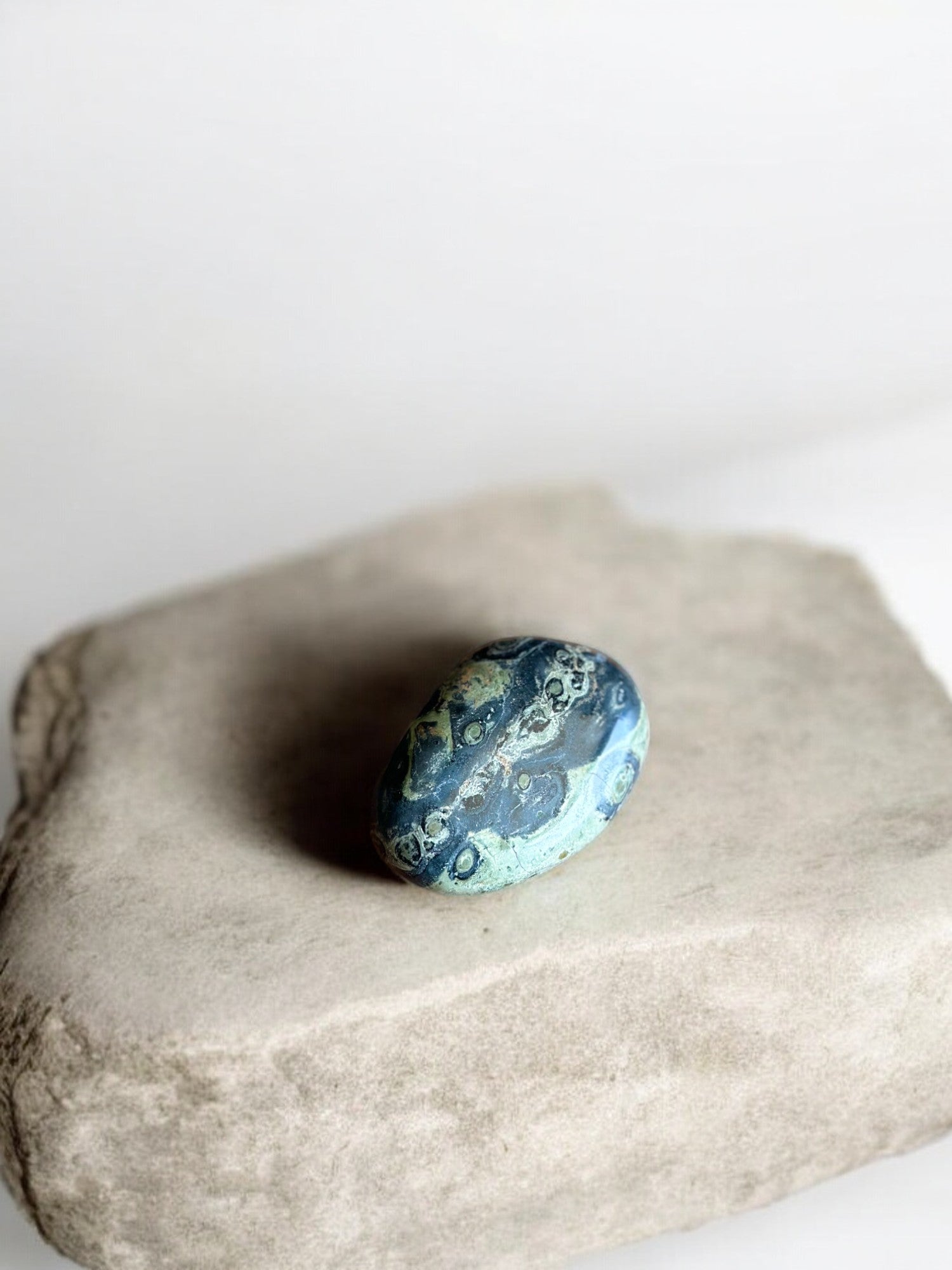 Kambaba jasper palm stone on a rock