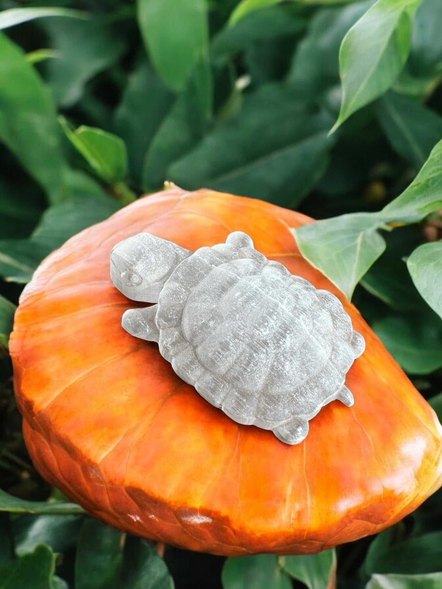 Selenite turtle crystal animal