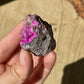 Druzy salrose | Cobaltoan calcite | Congo